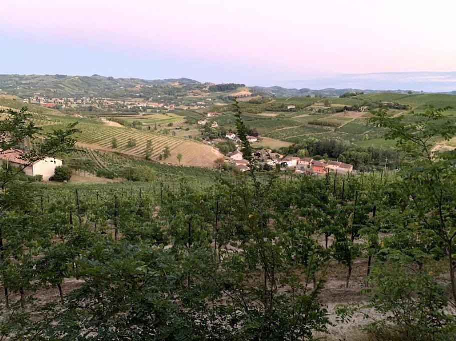 Apart-Agriturismo "La Colomba" نيتسا مونفيراتو المظهر الخارجي الصورة